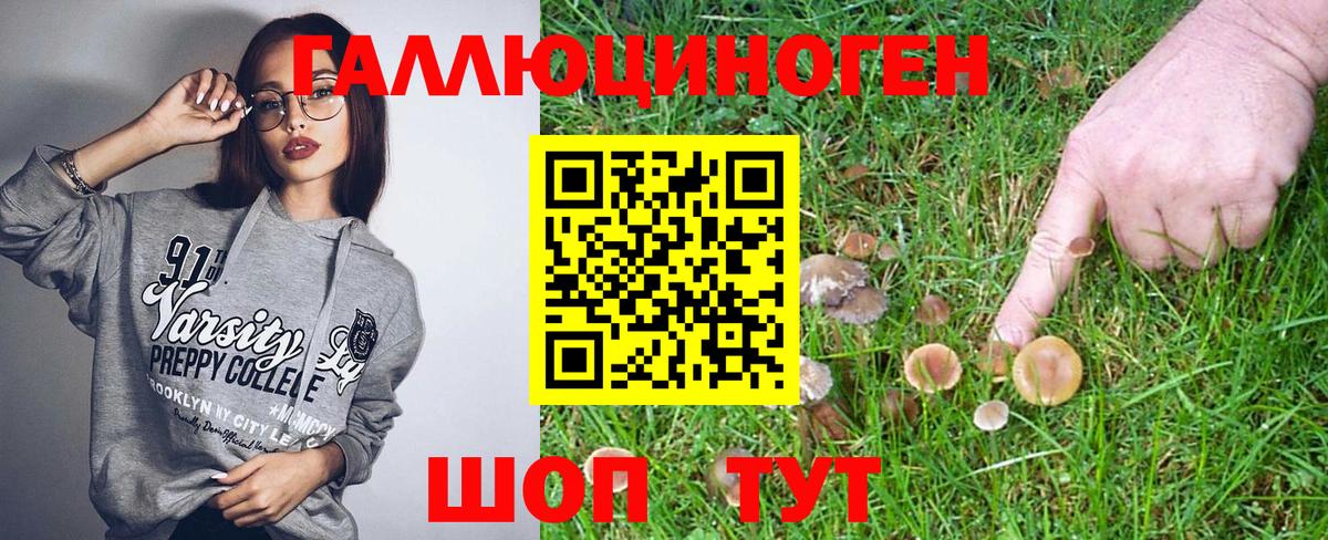 Галлюциногенные грибы Cubensis Майкоп