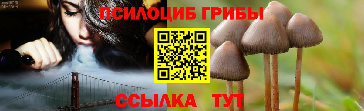 Майкоп  Псилоцибиновые грибы мухоморы  Галлюциногенные грибы Cubensis  Вход с VPN 